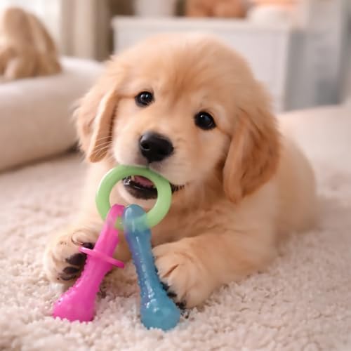 Nylabone Puppy Pacifier Chew Toy, Teething Toys for Puppies up to 25 lbs - Image 2