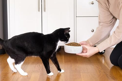 Pearhead Ceramic Cat Bowl, Holds 12 oz, Blue Dots - Image 4