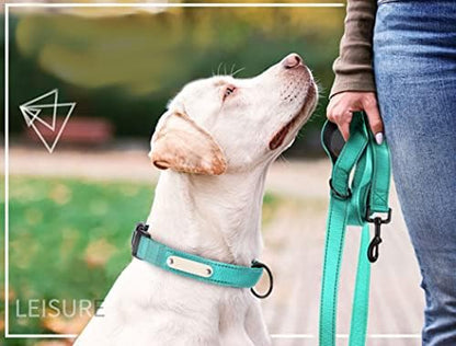 Dual Handle Dog Leash 5FT, Reflective Dog Lead Traffic Handle, Light Blue - Image 2
