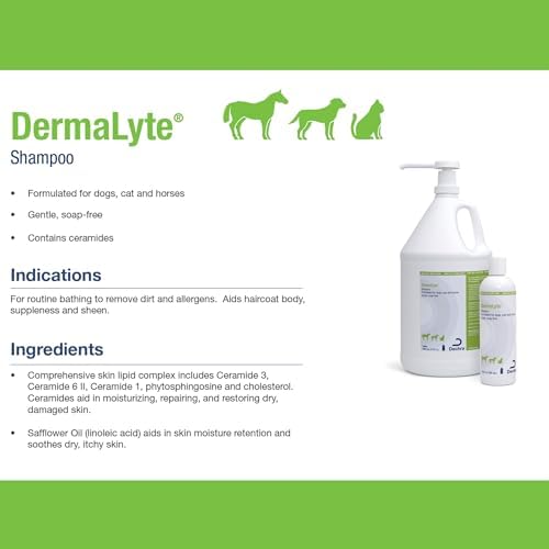 Shampoo, 12 Ounce (Pack of 2) - Image 4