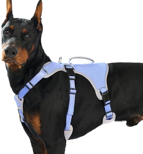 Huntboo Escape Proof Dog Harness, Dachshund Harness, Reflective Dog Harness with Handle, Durable,Adjustable Vest for Small Medium Large Dogs Walking, Training, and Running Gear (Technicolor Blue,XL) by Huntboo