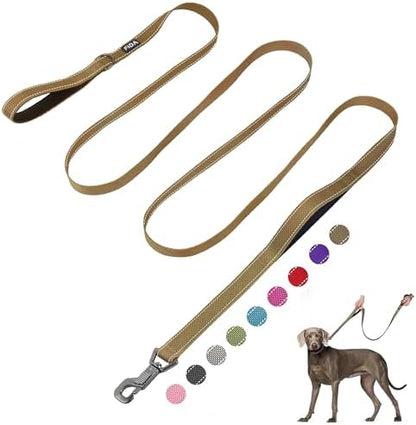 Fida 10 FT Heavy Duty Dog Leash, Dual Padded Handles for Medium Large Dogs by Fida