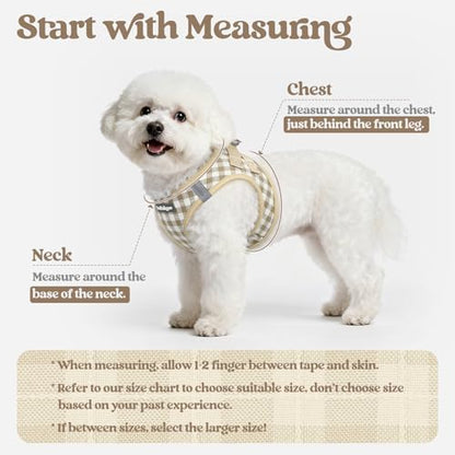 rabbitgoo Dog Harness Medium Sized and Leash Set, Step-in Puppy Pet Vest - Image 2