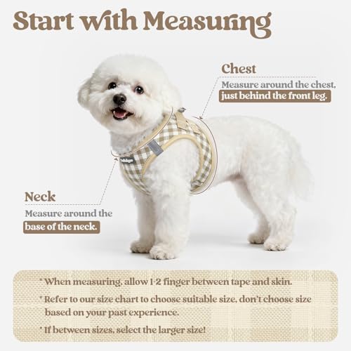 rabbitgoo Dog Harness Small Sized and Leash Set, Step-in Puppy Pet Vest - Image 2