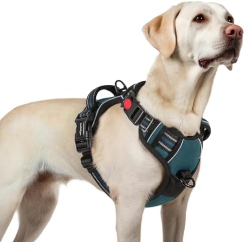 rabbitgoo Dog Harness for Large, Updated Easy On & Off with 3 Buckles by rabbitgoo