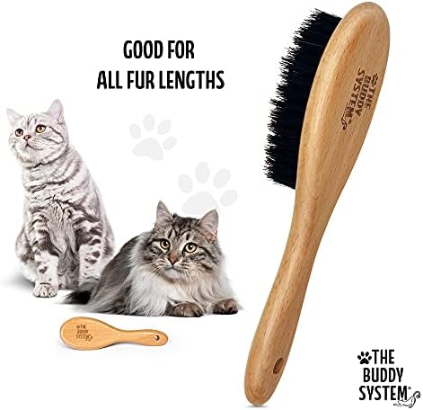 The Buddy System - Soft Cat Brush with Boar Bristles, 1 Pack - Image 3