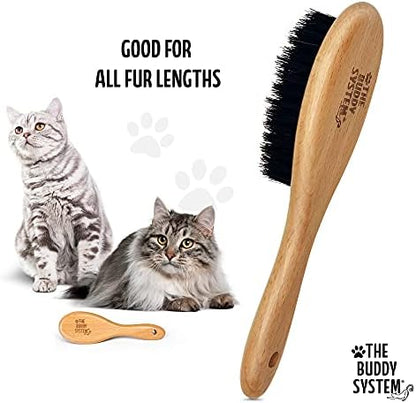 The Buddy System - Soft Cat Brush with Boar Bristles, 1 Pack - Image 3