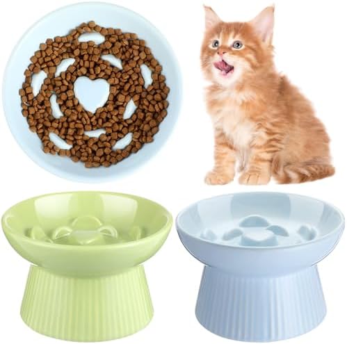 Tioncy 2 Pcs Ceramic Elevated Slow Feeder Cat Bowl, Green, Blue by Tioncy