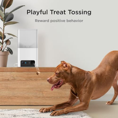 Petcube Bites 2 Lite Pet Camera [Subscription Required] - Treat Dispenser - Image 3