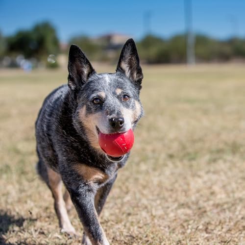 KONG Ball with Hole, Natural Rubber Fetch Toy, Red, for Large/Medium Dogs - Image 5