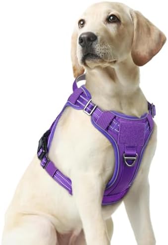 rabbitgoo Tactical Dog Harness Medium Sized, No Pull Service Pet Vest by rabbitgoo
