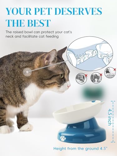 Y YHY Ceramic Slow Feeder Cat Bowl, Elevated Cat Bowl Tilted Design Slow Feeder for Dog and Cat for Dry and Wet Food, Blue - Image 5