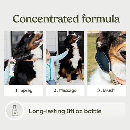 PAWFUME Skin & Coat Detangler Spray for Dogs, 4-Pack - Image 5