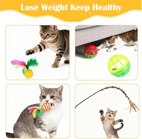 YDYJKI Cat Toys Interactive for Indoor Cats - Collapsible Cat Tunnel, Retractable Fishing Pole Wand Toy with Feather Attachments, Durable Kitten Teaser Replacement Refills for Play - Image 4