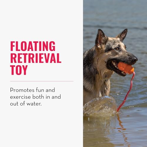 KONG Aqua Floating Fetch Toy, Natural Rubber, Orange, for Medium Dogs - Image 2