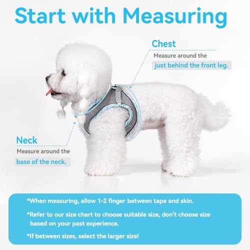Petank Step in Dog Harness No Pull and Leash for Small Medium Dogs Cats. - Image 4