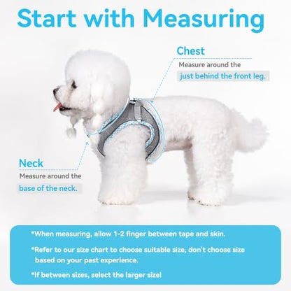 Petank Step in Dog Harness No Pull and Leash for Small Medium Dogs Cats. - Image 4