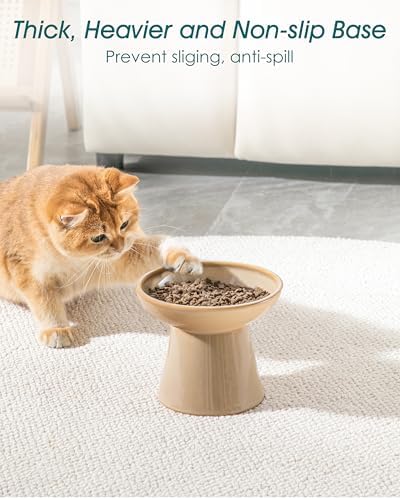 vancasso 2-Pack Extra Wide Elevated Cat Bowls, Ceramic Raised Cat Bowls - Image 6