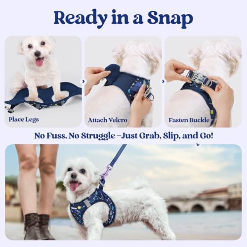 rabbitgoo Dog Harness Small Sized and Leash Set, Step-in Puppy Pet Vest - Image 5