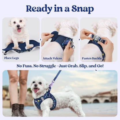 rabbitgoo Dog Harness Small Sized and Leash Set, Step-in Puppy Pet Vest - Image 5