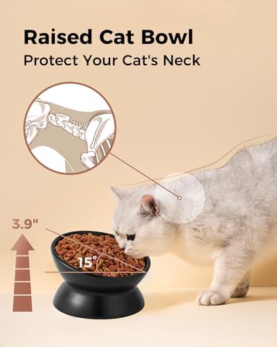 LoeJan Elevated Cat Food Bowl, 5 Oz Ceramic Raised and Tilted Water Bowl, Anti Vomiting and Protect Pets' Spines Dishes for Small Dog, Fat Faced Cat, Kitten (Black, 2 Pack) - Image 5