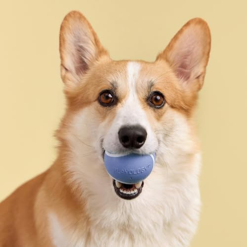 Playology Squeaky Chew Ball Dog Toy - Medium, Blueberry Scent - Image 3