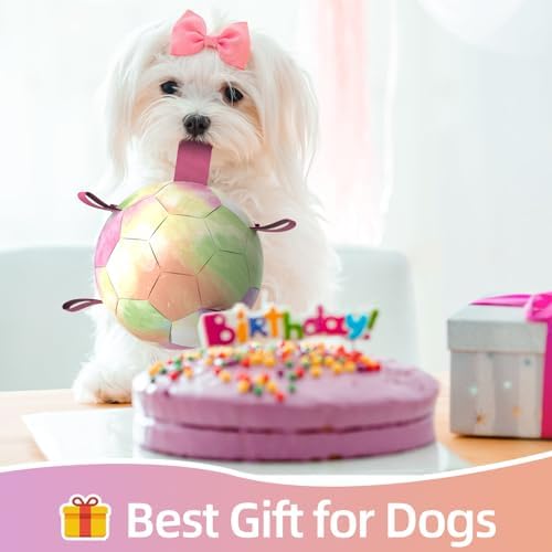 QDAN Dog Balls, Dog Herding Ball, 8 Inch Large Dog Soccer Ball with Strap - Image 3