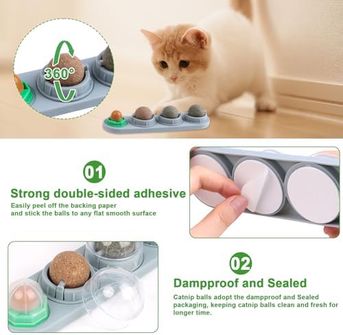 CCINEE Catnip Balls for Cats Wall Catnip Toys Edible Cat Toys for Cat Lick Safe Healthy Kitten Chew Toys Teeth Cleaning Dental Cat Toys(4 Flavor) - Image 5