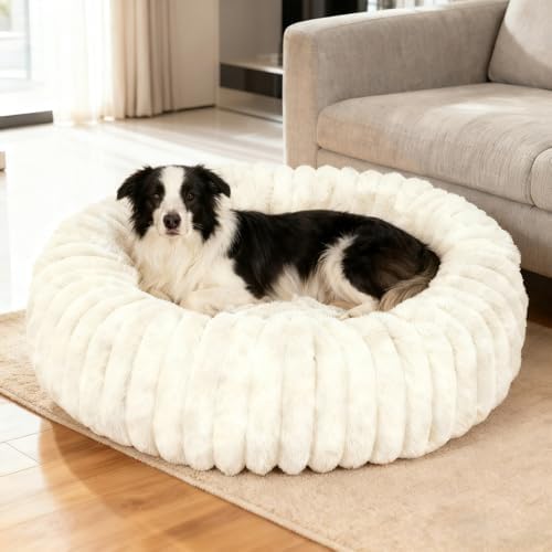 Washable Large Dog Bed,Fluffy Puppy Kitten Beds for Small Dogs(White,XL) by Unknown