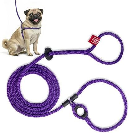 Harness Lead No Pull Dog Harness and Leash Set, Anti Pull Dog Harness, One-Piece Cushioned Rope Safely Prevents Escaping and Pulling (Small/Medium, Purple) by HarnessLead