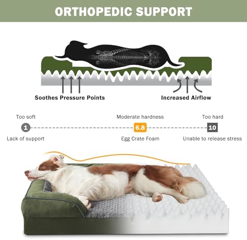 INVENHO Orthopedic Medium Dog Dogs, Egg-Crate Foam Dog Couch with Washable Removable Cover, Waterproof Lining and Nonskid Bottom - Image 2