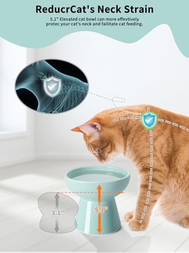 LoeJan Elevated Cat Food and Water Bowls Set, Extra Wide and Raised Ceramic Feeder, Anti-Vomit Whisker-Free Pressure Feeding Bowl for Kittens Adult Small Dogs (Blue) - Image 3
