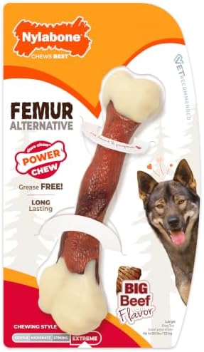 Nylabone Femur Bone Alternative Power Chew Toy for Dogs, Dog Toys for Aggressive Chewers, Beef Flavor, Large - Up to 50 lbs, 1 Count by Nylabone