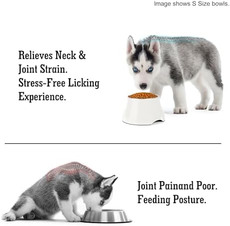 Dog Bowls,Cone Friendly Non Slip Single Dog Bowl with Stainless Steel Inner, Raised Bowls for Small Dogs Spaniel Dogs Long Ear, High Capacity, M/2 Cup White - Image 5