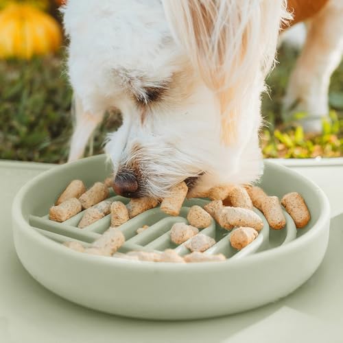 Slow Feeder Dog Bowl - Silicone Dog Bowl, Small, 6" x 1.25" - Sage - Image 5
