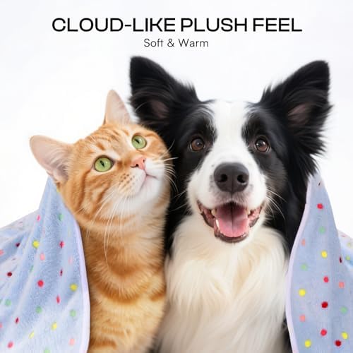Luciphia 1 Pack 6 Dog Blankets Cat Soft Fluffy Fleece Pet Blanket Warm Cute Print Design Puppy Kitten Doggy Dot Medium(30"x20") - Image 2