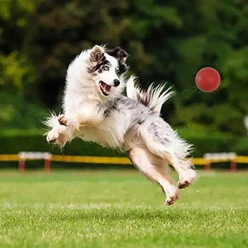 Sunglow Durable Dog Ball for Chewing & Training, Tough Indestructible Dog Chew Toy, Solid Rubber Bouncy Ball, Cleans Your Dog's Teeth & Improves Mental Health - Image 6