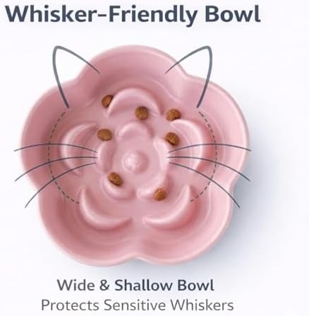 Elevated Ceramic Slow Feeder Cat Bowl, 15° Tilted Feeding Dish Helps Reduce Fast Eating and Vomiting, Whisker-Friendly Heavy Smooth Matte Ceramic, Dishwasher Safe (Blue/Pink) - Image 4