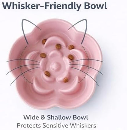 Elevated Ceramic Slow Feeder Cat Bowl, 15° Tilted Feeding Dish Helps Reduce Fast Eating and Vomiting, Whisker-Friendly Heavy Smooth Matte Ceramic, Dishwasher Safe (Blue/Pink) - Image 4