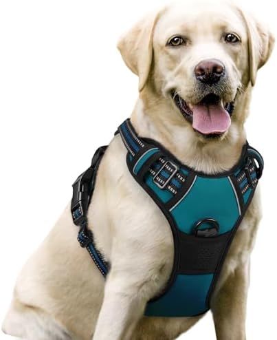 rabbitgoo Dog Harness, No Pull for Large Dogs with 2 Leash Clips, Pet Vest by rabbitgoo