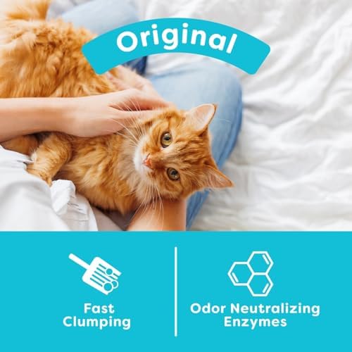 sWheat Scoop Natural Wheat Cat Litter, Original, Fast Clumping with Odor Neutralizing Enzymes, 28 Pound Bag - Image 3