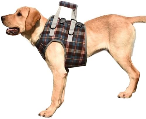 ROZKITCH Dog Lift Harness, Grid Pet Chest Support Aid Veterinarian Approved Sling for Old K9 Help with Poor Stability, Front Legs Disabled Joint Injury Elderly Arthritis ACL Rehabilitation Rehab by ROZKITCH