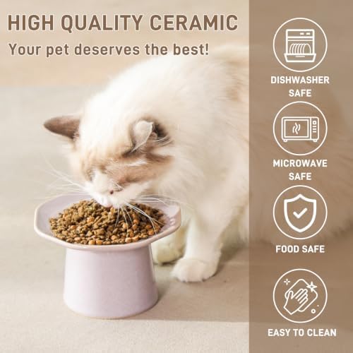 Shallow Cat Food Bowls Eleveted Wide 6" Cat Dish Raised Ceramic Plate, Stress Free, Whisker Fatigue, Dusty Mauve - Image 4