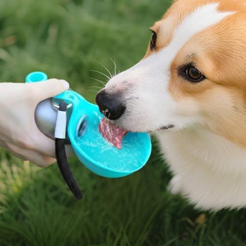 2 in 1 10oz Portable Dog Water Bowl Stainless Steel Dog Travel Water Bottle - Image 2