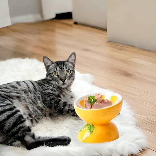 Elevated Cat Bowl Ceramic Raised Cat Food Water Bowls for Indoor Kitten - Image 2