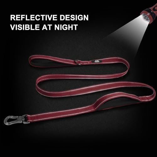 Twoear 4FT 1IN Heavy Duty Dog Leash for Large Dogs with 2 Padded Handles - Image 5