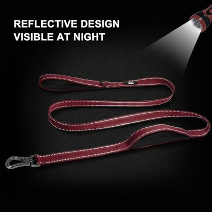 Twoear 4FT 1IN Heavy Duty Dog Leash for Large Dogs with 2 Padded Handles - Image 5