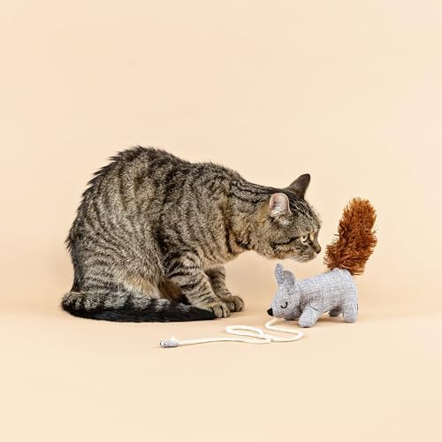 Fringe Studio ONE TUFF NUT Teaser Cat Toy, PetShop Collection (717001) - Image 6