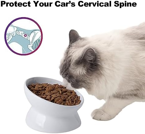 Elevated Ceramic Cat Bowl, 15° Tilted Raised Food & Water Dishes, Anti-Vomiting & Neck Protection Pet Feeder for Kittens, Small Dogs (5.2", White, 2pc Set) - Image 3