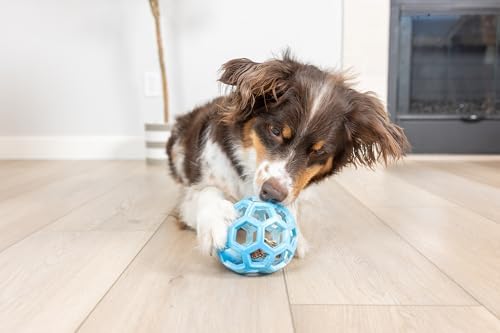Chuckit! Holee Roller Dog Treat Puzzle Ball, Medium (2.5"), Blue – Interactive Treat & Chew Puzzle Toy for Dogs 20–60 lb – Durable Rubber Fetch Ball for Mental Stimulation – Pack of 1 - Image 3